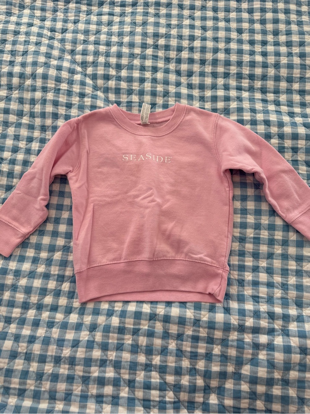The Seaside Style Pink Crewneck Sweatshirt